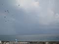 rainbow on the sea with birds